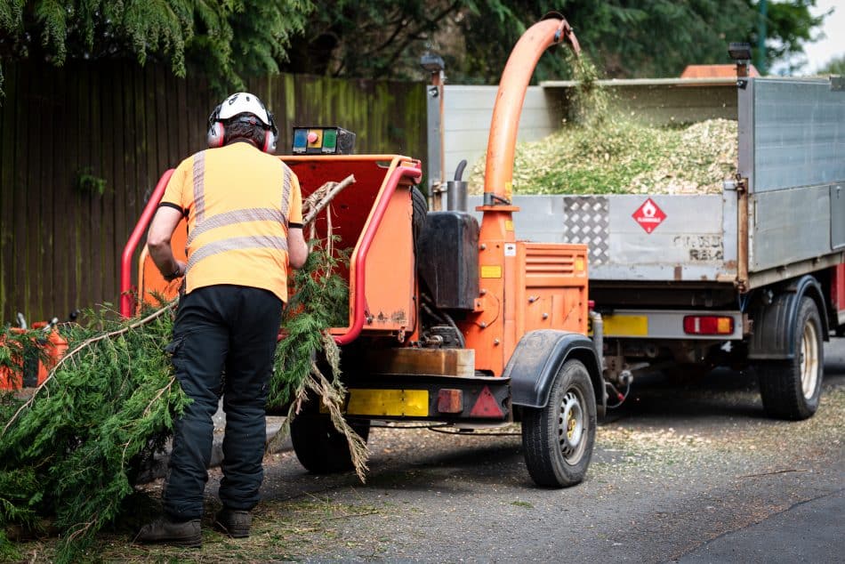 Tree removal services Sydney